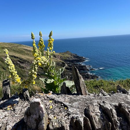 Pilchards Cottage Noss Mayo Экстерьер фото