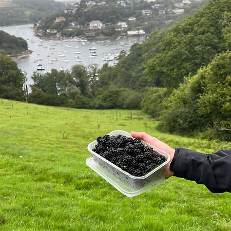 Pilchards Cottage Noss Mayo Экстерьер фото