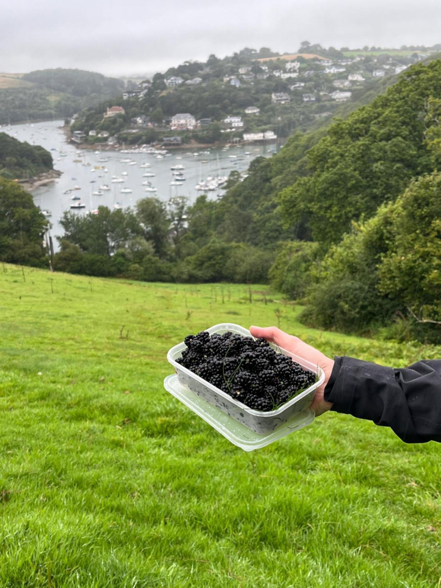 Pilchards Cottage Noss Mayo Экстерьер фото